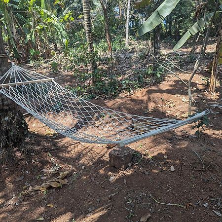Hill Top Homes Kannur ภายนอก รูปภาพ