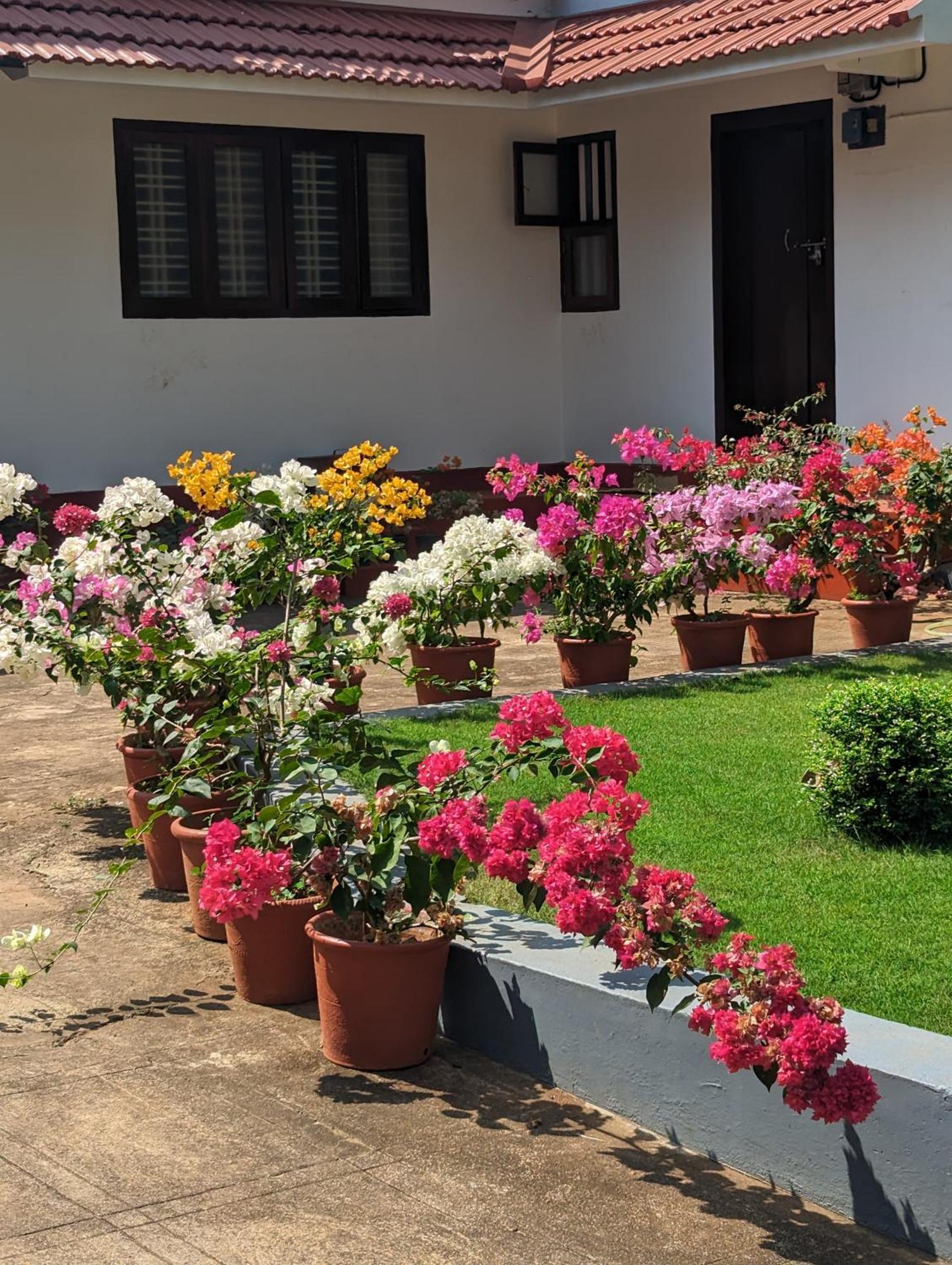 Hill Top Homes Kannur ภายนอก รูปภาพ